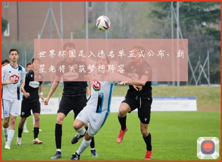 世界杯国足入选名单正式公布，新星老将共筑梦想阵容