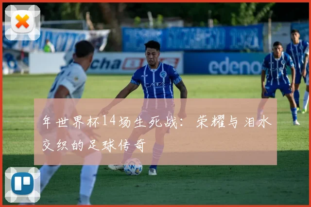 年世界杯14场生死战:荣耀与泪水交织的足球传奇