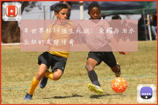 年世界杯14场生死战:荣耀与泪水交织的足球传奇