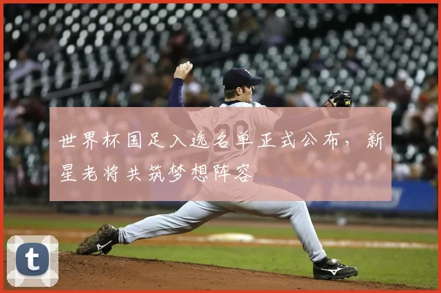 世界杯国足入选名单正式公布，新星老将共筑梦想阵容
