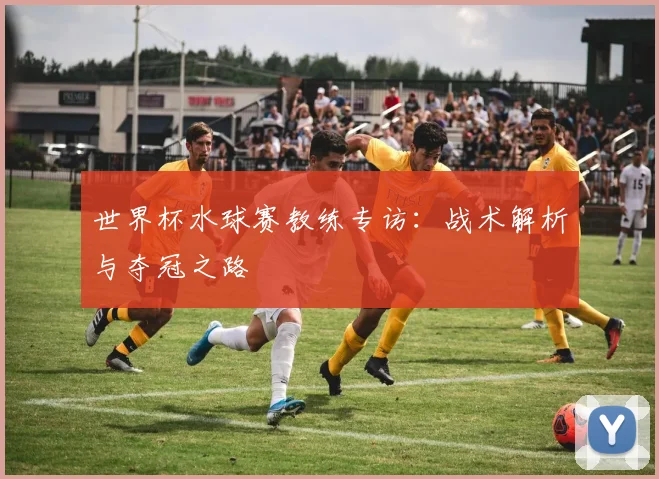 世界杯水球赛教练专访：战术解析与夺冠之路