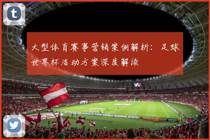 大型体育赛事营销案例解析：足球世界杯活动方案深度解读